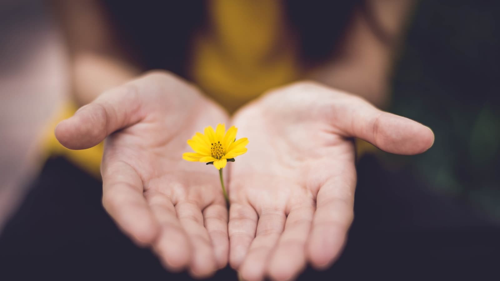 Tithing and generosity — open hands holding flowers