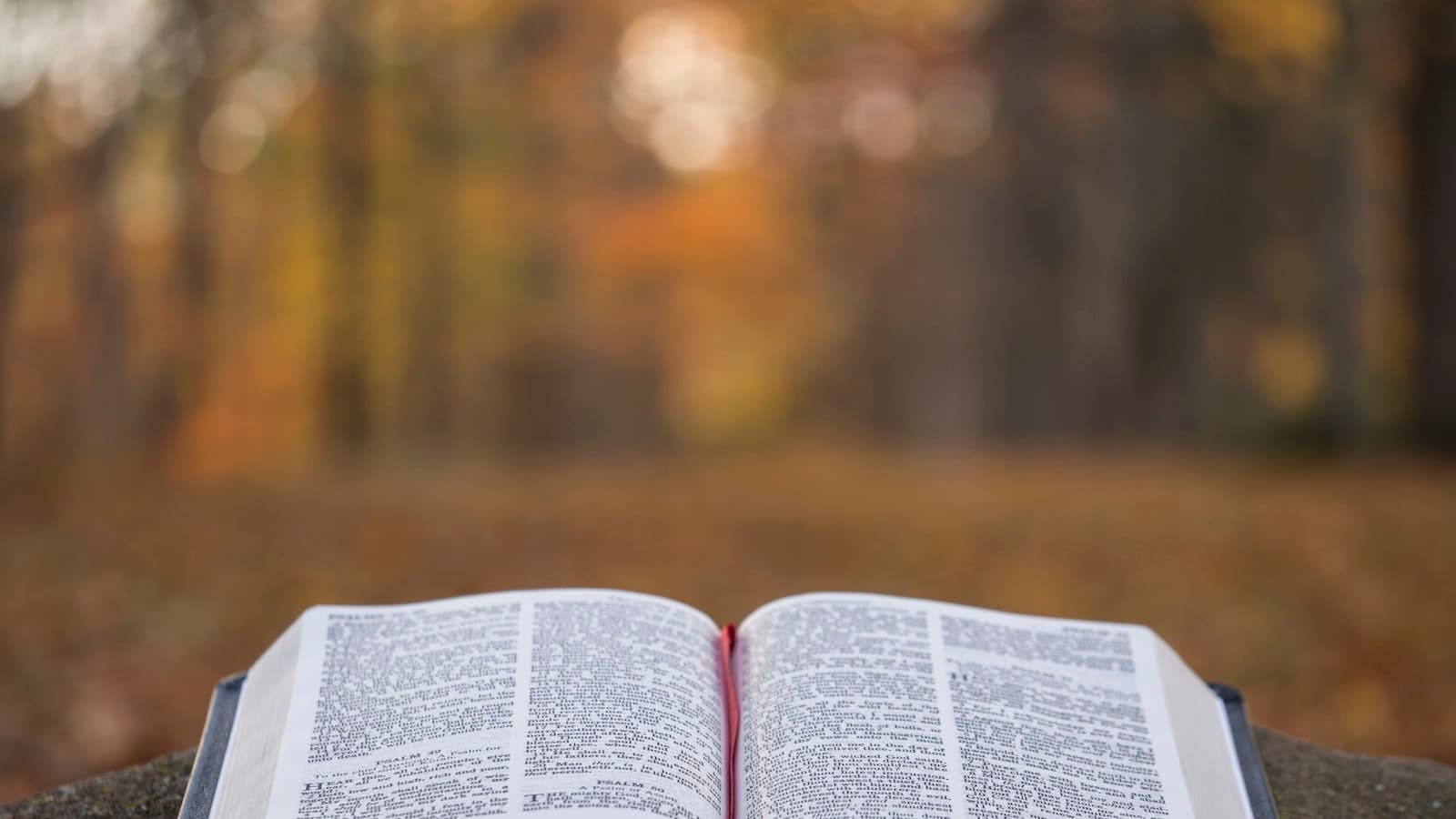 Will AI kill our faith — an open Bible on a concrete surface